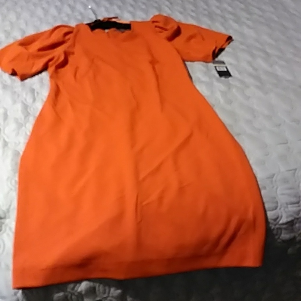 Sharagano Sheath Dress with Puff Sleeves Pumpkin Fall Orange